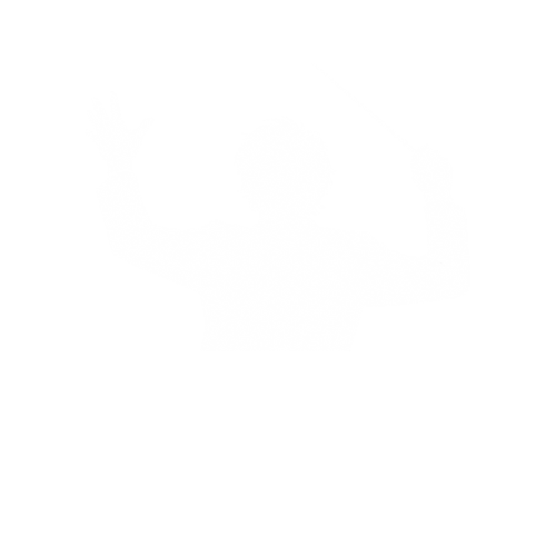 leadervirtuoso.com